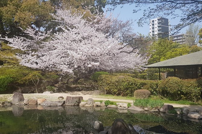 Osaka’s Best and Brightest: Private Full-Day Tour by Vehicle - What You Gain Beyond Stops: Stories, Tips, and Local Friction Avoidance