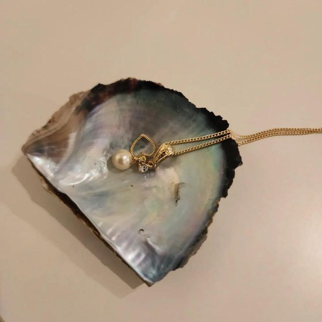 Osaka Shinsaibashi Pearl extraction experience - Who should book this in Osaka, and who might skip it
