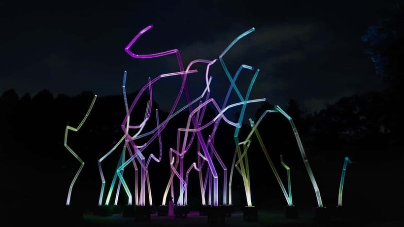 Osaka: teamLab Botanical Garden Entry Ticket - Key reasons this ticket is worth your time