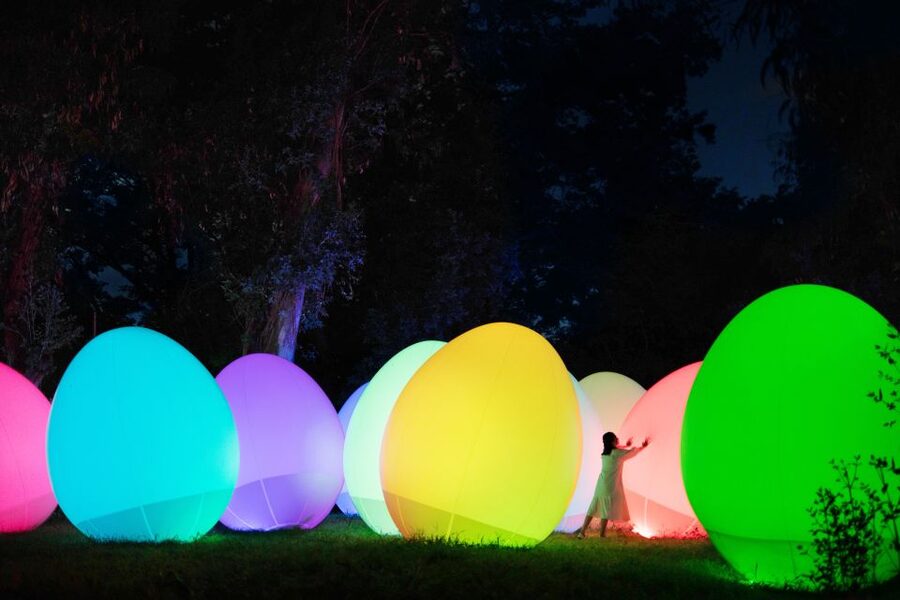 Osaka: teamLab Botanical Garden Entry Ticket - Staff Help and Human Touch