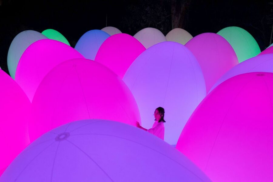 Osaka: teamLab Botanical Garden Entry Ticket - Night Lights Meet a Real Botanical Garden
