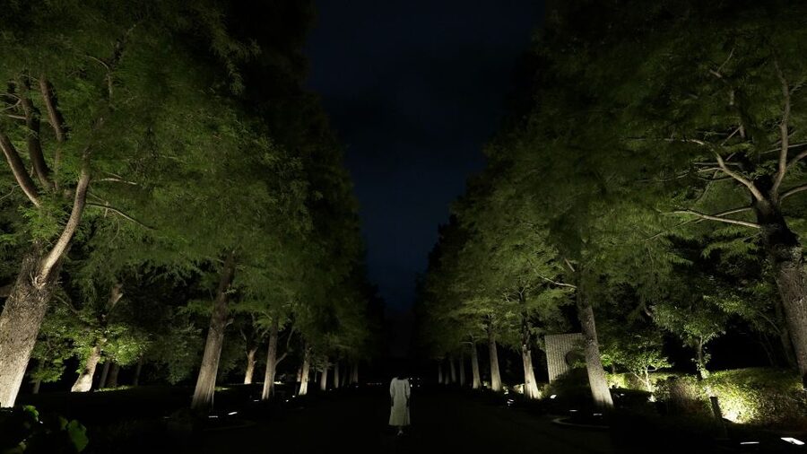 Osaka: teamLab Botanical Garden Entry Ticket - When the Garden Becomes teamLab After Dark