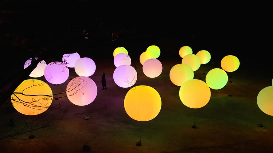 Osaka: teamLab Botanical Garden Entry Ticket - Interactive Moments: How You Become Part of the Art