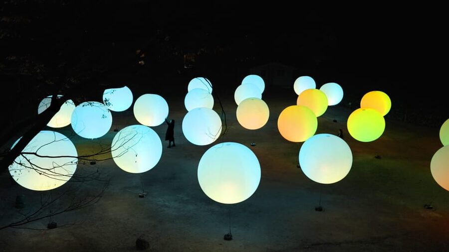Osaka: teamLab Botanical Garden Entry Ticket - Finding the Right Pace: Wandering Without Missing the Magic
