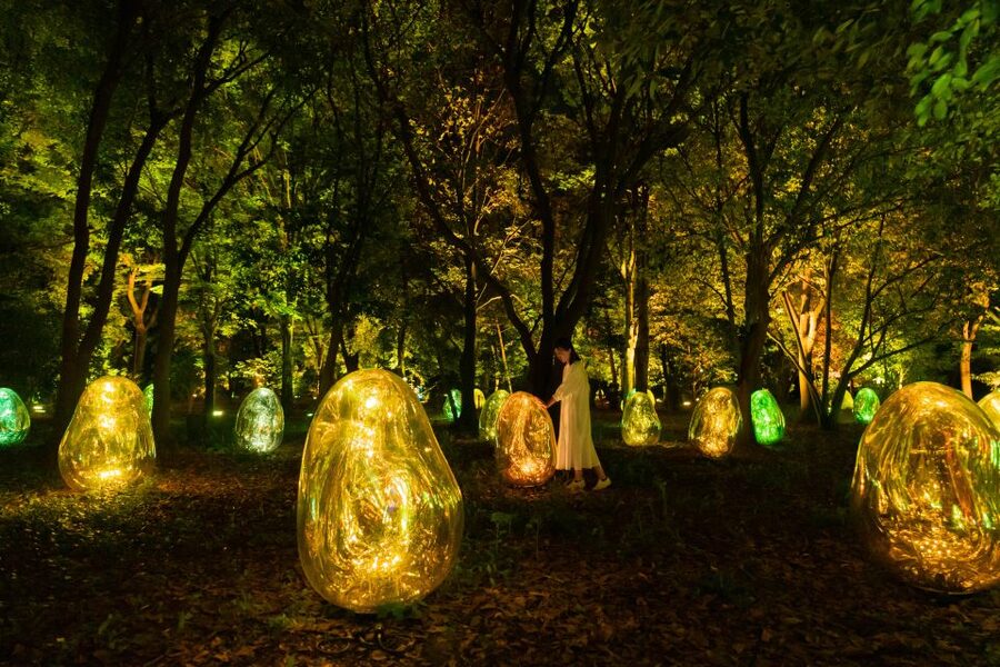 Osaka: teamLab Botanical Garden Entry Ticket - Practical Logistics That Actually Matter