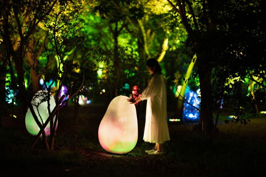 Osaka: teamLab Botanical Garden Entry Ticket - Kids, Adults, and Accessibility: Who This Works For