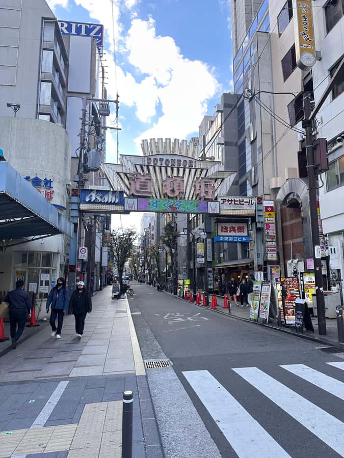 Osaka: Visit the must-see places. - Who this tour suits best
