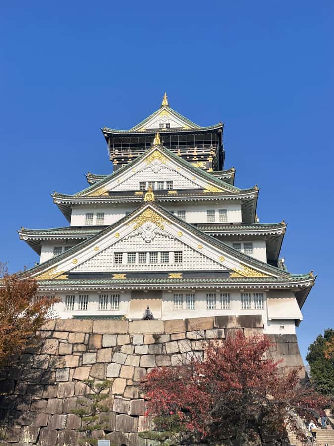 Osaka: Visit the must-see places. - Should you book this Spanish Osaka day tour?