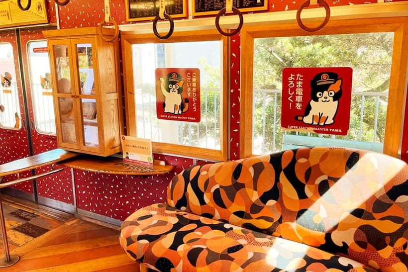 Osaka: Wakayama Cat Train, Seafood market, Hot Springs Tour - Quick hits before you go