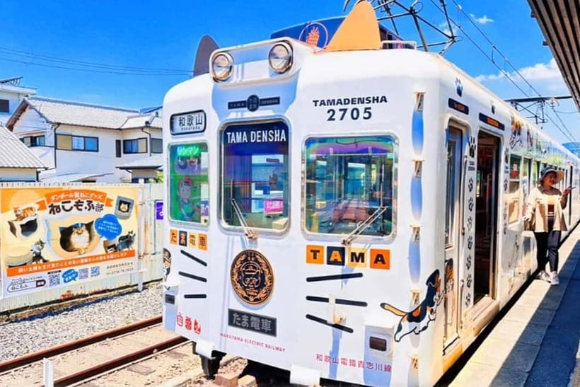 Osaka: Wakayama Cat Train, Seafood market, Hot Springs Tour - From Namba to Wakayama, start with Tiger and a comfortable ride
