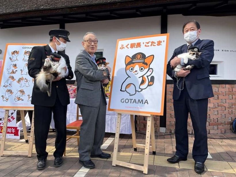 Osaka: Wakayama Cat Train, Seafood market, Hot Springs Tour - Cat-themed train time, where the whimsy is the point