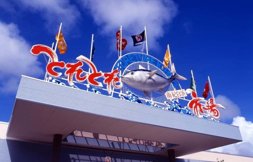 Osaka: Wakayama Cat Train, Seafood market, Hot Springs Tour - The real value of this $83 day trip, what you get for your time