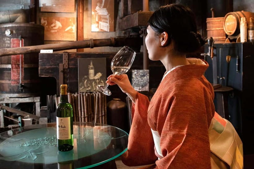 Osaka Winery Tour with Wine Tasting & Vineyard Walk - Key things that make this tour worth your time