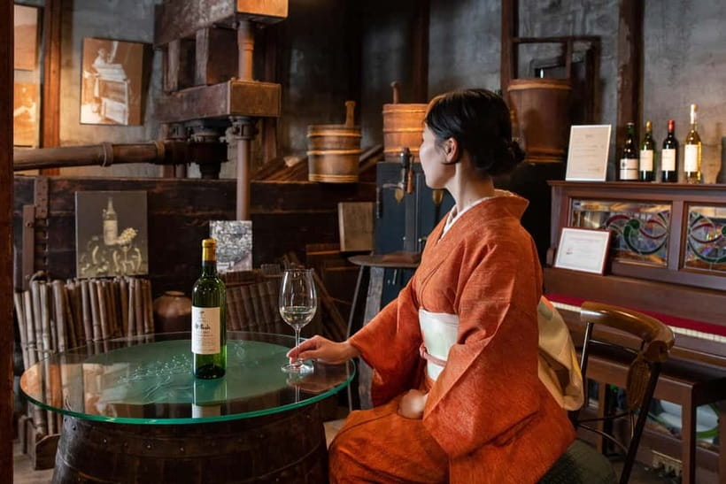 Osaka Winery Tour with Wine Tasting & Vineyard Walk - Walking tour: Edo-period streets, old Osaka energy