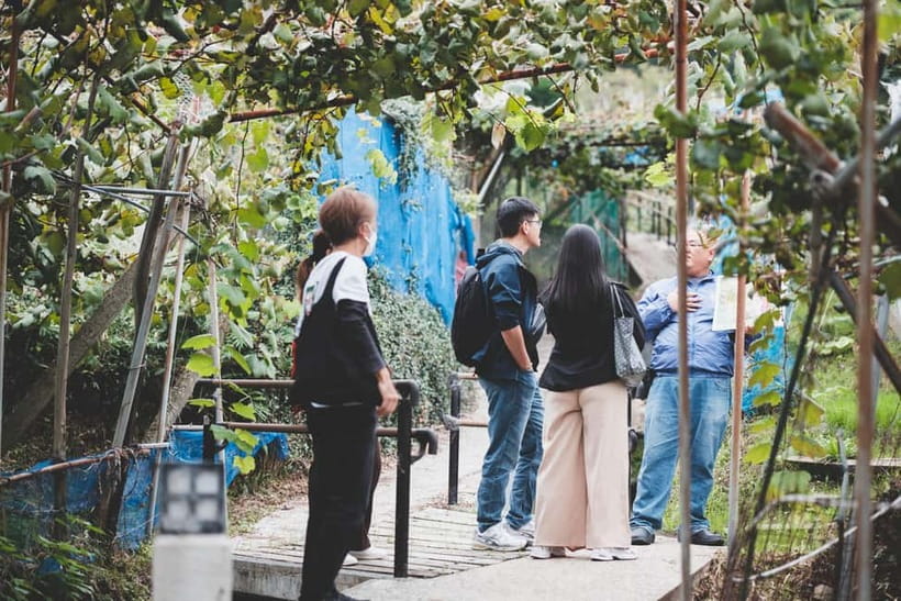 Osaka Winery Tour with Wine Tasting & Vineyard Walk - What you taste: three Japanese wines, explained