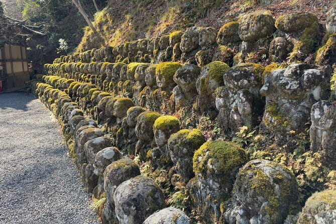Pedal Adventure Kyoto's iconic landmarks on an e-bike tour - What’s included, and why it changes the value