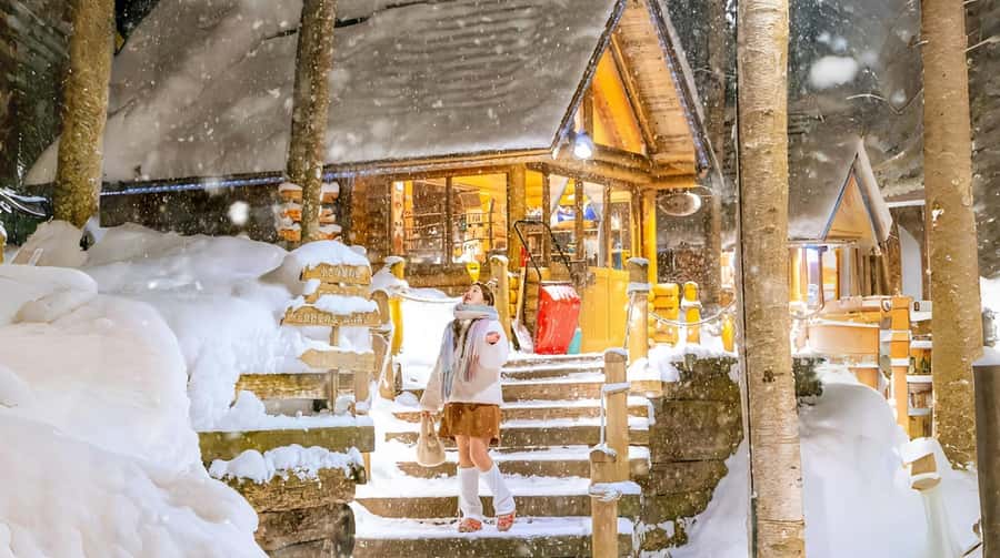 Penguin Fun & Snowmobile : Sapporo Winter (Asahiyama Zoo) - Why This Sapporo Winter Day Tour Feels Efficient