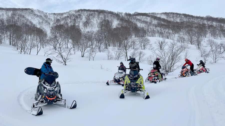 Penguin Fun & Snowmobile : Sapporo Winter (Asahiyama Zoo) - Price and Value: Is About $58 a Fair Deal?