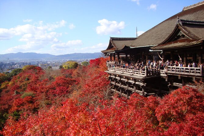 PERFECT KYOTO 1-Day Bus Tour - Key points before you go