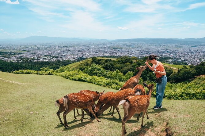 Perfect Nara Park Half-Day Bus Tour with English Speaking Guide - Todai-ji: Nandaimon gate and the Great Buddha Hall