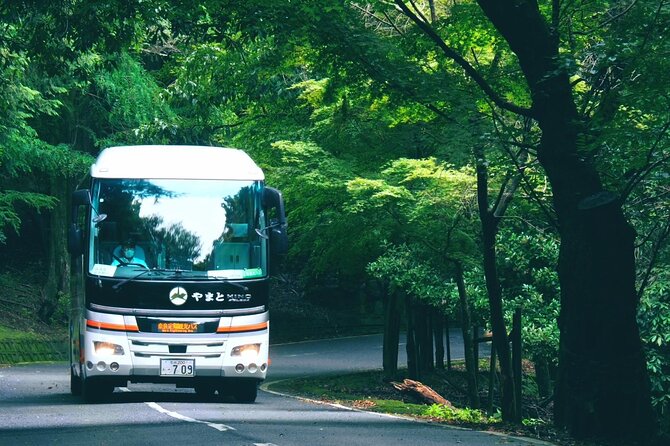 Perfect Nara Park Half-Day Bus Tour with English Speaking Guide - Kasugayama Primeval Forest drive: Nara Okuyama Driveway en route