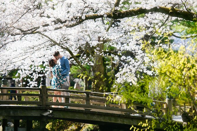Photoshoot session by professional photographer in Kanazawa - Higashichaya: kimono-friendly lanes and old-teahouse charm