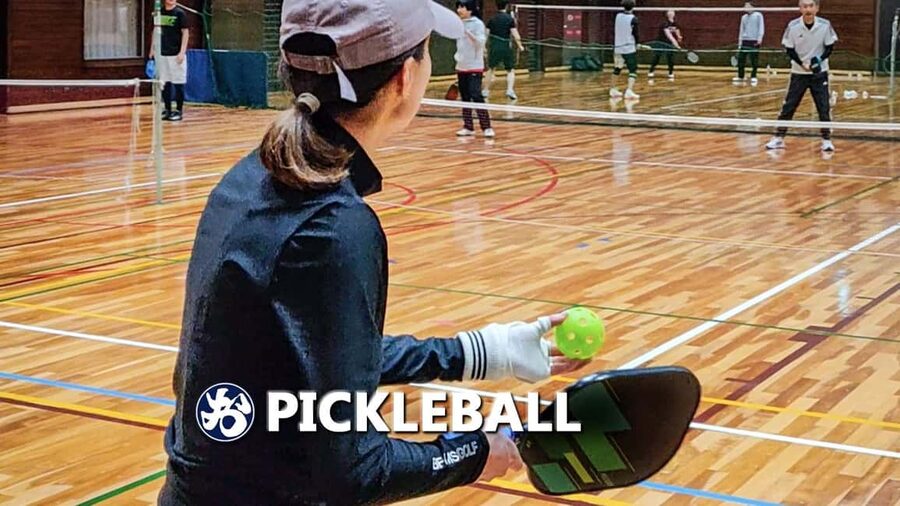 Pickleball in Osaka, Kobe & Kyoto with Locals! - Pickleball in Kansai: why this is more than a game