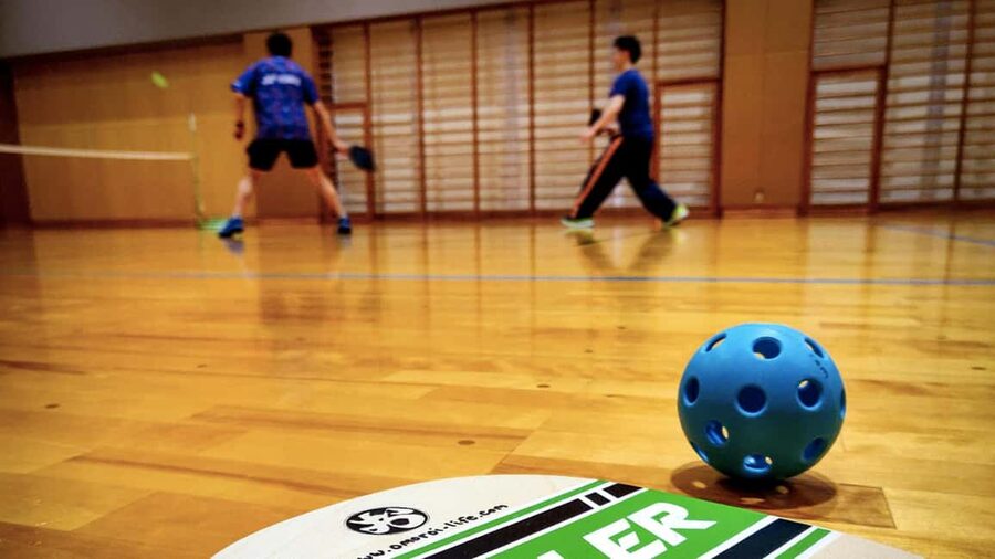 Pickleball in Osaka, Kobe & Kyoto with Locals! - Why the $6 price can feel like a great deal