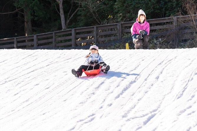 Play with Snow Crab Buffet Lunch and Strawberry Picking Bus Tour - Key highlights at a glance