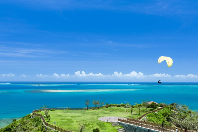 Port Pick-Up: Naha Private Tour Licensed Guide＆ Vehicle - Key highlights you will care about