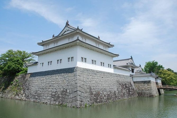 Port Pick-Up: Shizuoka Tour with Licensed Guide and Vehicle - Cruise-Port Convenience, Without the Chaos