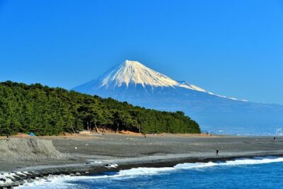 Port Pick-Up: Shizuoka Tour with Licensed Guide and Vehicle