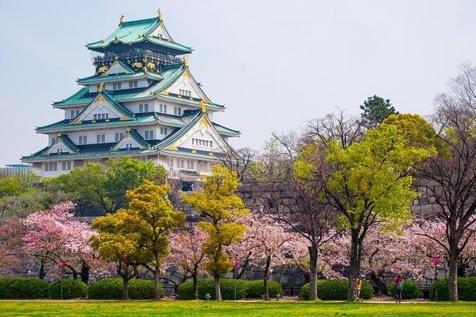 PRIVATE 6hr, Food tour from Osaka Castle, Kuromon, Dotonbori. - Key highlights you should know before you go