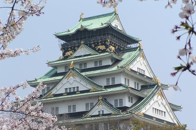 PRIVATE 6hr, Food tour from Osaka Castle, Kuromon, Dotonbori. - Pickup, timing, and meeting point, so you do not waste your morning