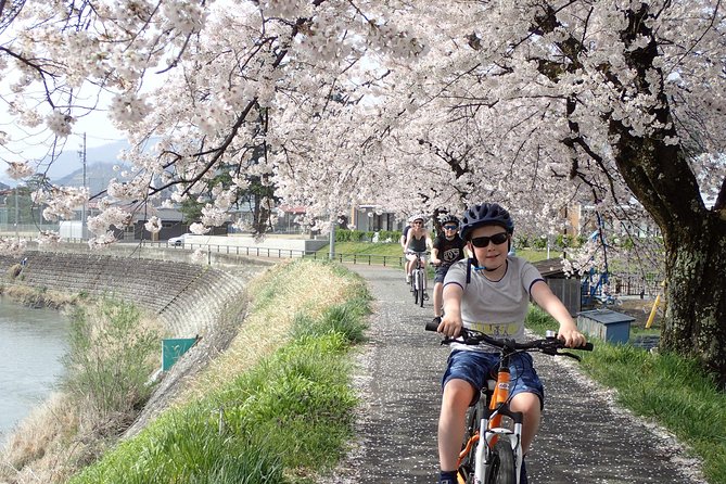 Private Afternoon Cycling Tour in Hida-Furukawa - Price and Value: What $214.48 Buys You