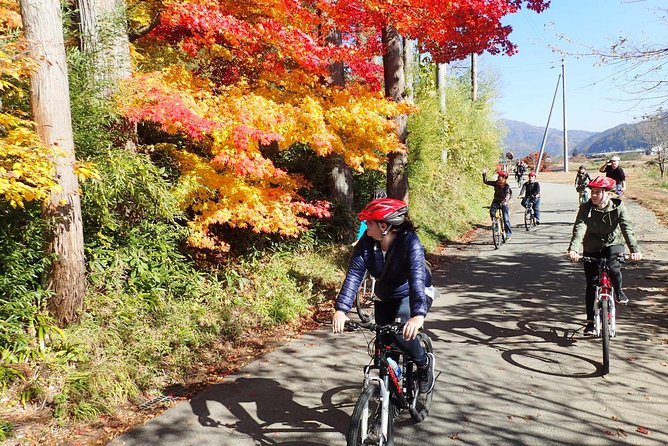 Private Afternoon Cycling Tour in Hida-Furukawa - The Route: From Old Town Streets to Satoyama Fields