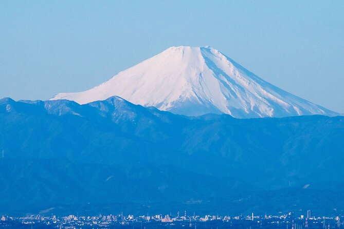 Private Airport transfer Haneda Airport(HND) to Tokyo City - Communication That Keeps the Transfer From Turning Into a Chase