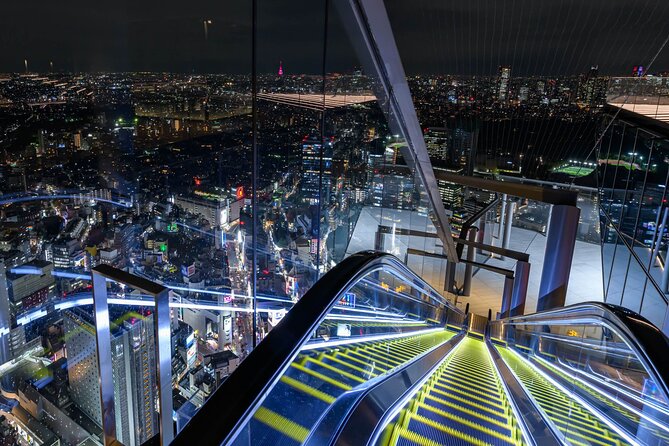 Private Airport transfer Haneda Airport(HND) to Tokyo City - The Ride Itself: Vehicle Comfort and Luggage Handling