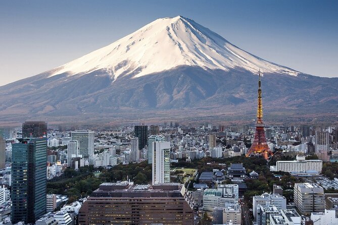 Private Airport transfer Haneda Airport(HND) to Tokyo City - Group Size and Child Seat Details