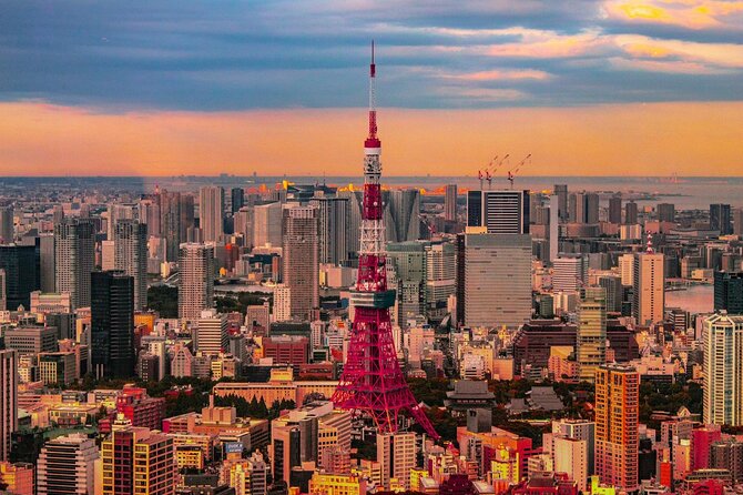 Private and Customisable Tokyo Tour with English Driver-guide - Private car Tokyo: what this day is really for