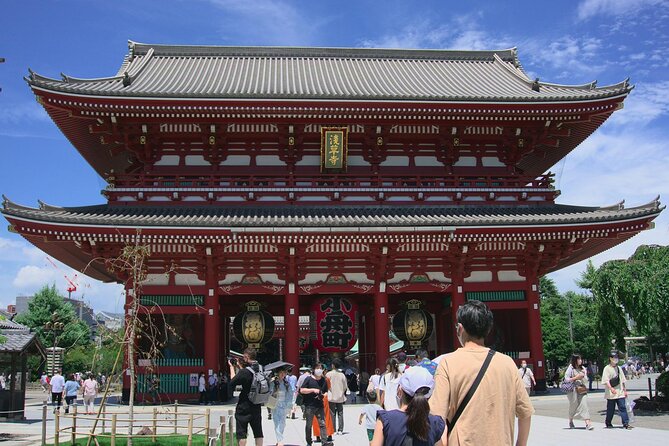 Private and Customisable Tokyo Tour with English Driver-guide - Pickup, timing, and how your 9 hours will feel