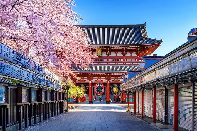 Private and Customisable Tokyo Tour with English Driver-guide - Asakusa Senso-ji: the temple stop that anchors the whole day