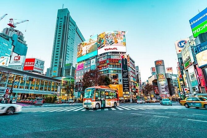 Private and Customisable Tokyo Tour with English Driver-guide - Ginza plus Odaiba: modern Tokyo with different moods