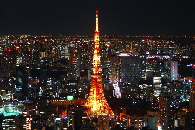 Private and Customisable Tokyo Tour with English Driver-guide - Stop by stop: Tokyo Skytree for a skyline reset