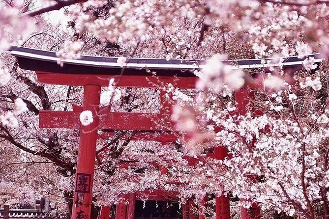 Private arrival transfer from Kansai International airport to Kyoto City - The Ride to Kyoto: Comfortable, Air-Conditioned, and Flexible by Group Size