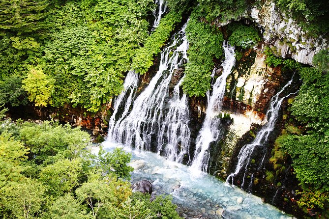 【Private Car】Asahiyama Zoo, Blue Pond, Shirahige Falls, Ningle Terrace (from Sapporo) - A one-day plan that actually feels doable from Sapporo