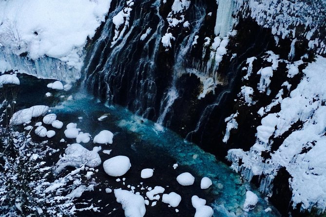 【Private Car】Asahiyama Zoo, Blue Pond, Shirahige Falls, Ningle Terrace (from Sapporo) - Private car value: up front comfort, fewer headaches, real time savings
