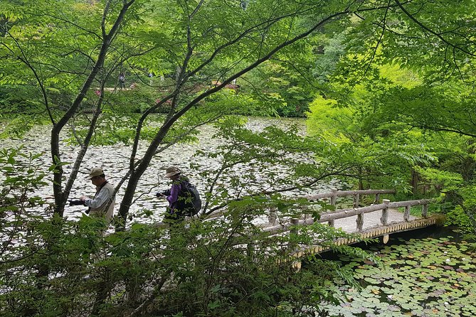 Private Car Day Trip to the Kobe Mountains, Gardens and Hot Springs from Osaka - Price and value: what you’re really paying for, plus the extra yen