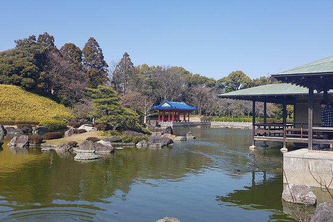 Private Car Full Day Tour of Osaka Temples, Gardens and Kofun Tombs - Sakai City Hall Observatory: The View That Connects the Day