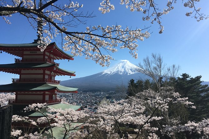 Private Car Mt Fuji and Gotemba Outlet in One Day from Tokyo - Ropeway, Oishi Park, and Fuji Oishi Hana Terrace by Lake Kawaguchi